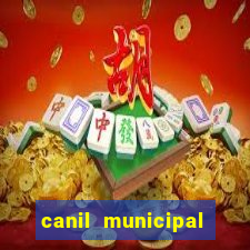 canil municipal porto alegre